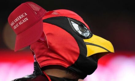 Arizona Cardinals Apologize For Security Guard Forcing Fan To Throw MAGA Hat In Garbage