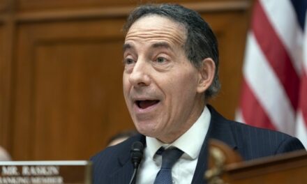 Jamie Raskin Latest Democrat to Assault the Constitution, Says Electoral College ‘Can Get You Killed’