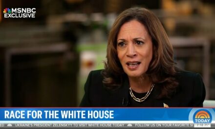 Nets Swoon Over Kamala’s MSNBC Interview as a Grand Slam (It Was Not)