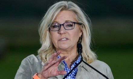 Mollie Hemingway NUKES Liz Cheney from Orbit for Her Anti-Trump Rhetoric Just DAYS Before 2nd Shooting