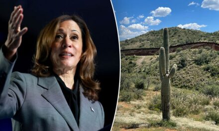 Harris visits crucial border state as immigration record sparks scrutiny: A timeline