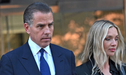 Hunter Biden Pleads Guilty to Tax Charges