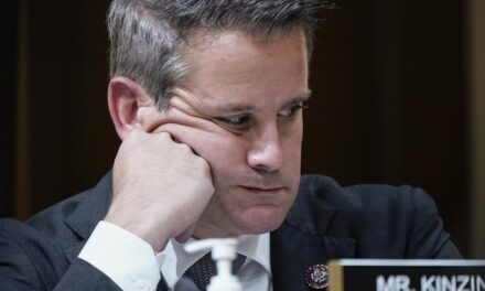 COWARD Adam Kinzinger Locks Replies Still Gets WRECKED for Saying MAGA ‘Lit the Fire’ of Violent Rhetoric