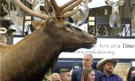 Weekend Parting Shot: Study Links Deer Season to Shooting Violence