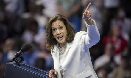 Kamala’s Big Mistake With Recent Event in PA Exposes a Bigger Problem for Her