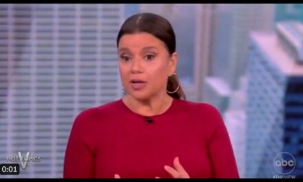 Ana Navarro Falls Flat on Her Face RUSHING to Blame JD Vance for Now DEBUNKED OH Bomb Threats (Watch)