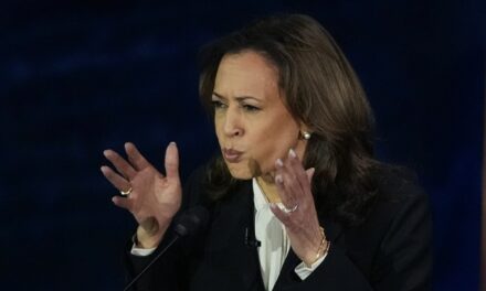 Liberal Media Accidentally Gloats About a Devastating Poll for Kamala