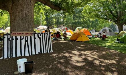 Anti-Israel Protesters Vandalize UNC Campus, Raise Palestinian Flag