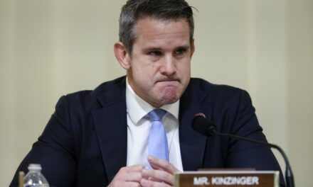 Adam Kinzinger, Vindmans, MSNBC Deliver Insane Responses to Second Trump Assassination Attempt