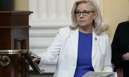 Liz Cheney responds to Kamala Harris cabinet rumor