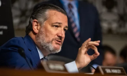 Cruz interrupted by anti-Israel agitator who yelled, ‘F—ing Jews’ during hearing on ‘hate’