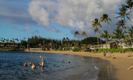 Couple dies while snorkeling during Hawaii babymoon, leaving behind 18-month-old son