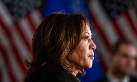 Kamala Harris Campaign Refuses to Discuss Her Amnesty Plan for Illegals