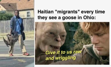 Let me use memes to explain what’s happening with Haitian migrants who are eating this Ohio town’s pets and geese