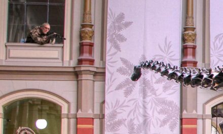 Ken Ham Hides On Second Floor Of Natural History Museum With Sniper Rifle Waiting For Someone To Say ‘Millions Of Years’