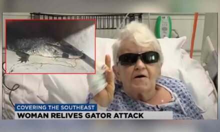 84-year-old Florida woman fights off 7-foot alligator while walking her dog