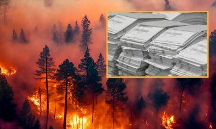 Democrats Concerned California Wildfires May Burn Up Their Stock Of Prefilled Kamala Harris Ballots