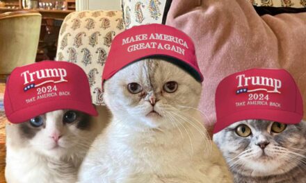 Taylor Swift’s Cats Endorse Trump