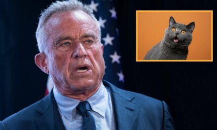 RFK Jr. Really Really Hoping Nobody Asks Him Point Blank If He’s Ever Eaten A Cat