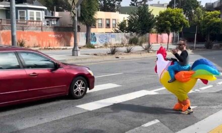 San Francisco police are dressing like giant chickens to issue traffic violations