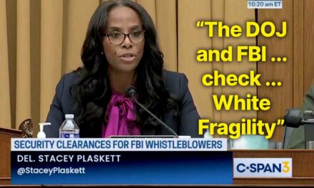 WATCH: Congressional delegate Stacey Plaskett has one heck of a take on why the DOJ exists