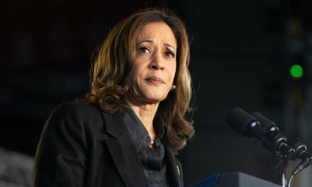 After Extensive Research, Political Experts Believe Harris Struggling To Connect With Male Voters Because She’s Awful