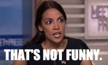 Insufferable Scold AOC Gets SCHOOLED About ‘Islamophobia’ After Whining About Political Cartoon