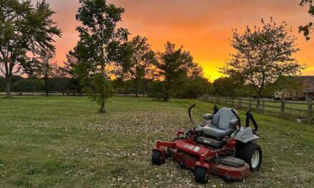 Thursday Night Mowing League 2024: Playoffs Week 4 — The Finish Line Is Near