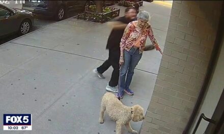 NYC woman, 81, walking dog feels ‘lucky’ to be alive after video shows man brutally punching her in the face