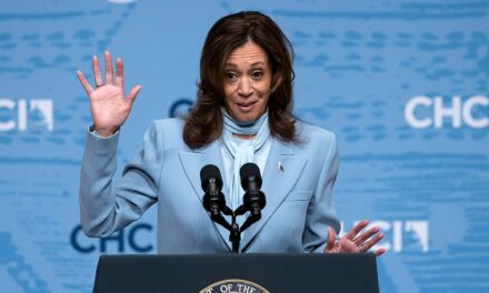 Harris team ‘not aware’ of stolen Trump docs sent ‘directly’ to Biden camp