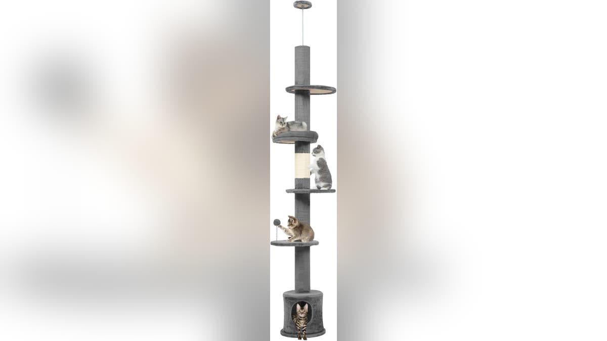 Fit this cat tree in most rooms thanks to its adjustable pole.