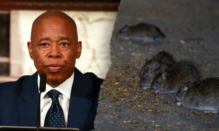 New York City hosts inaugural ‘Urban Rat Summit’ in hopes to combat rodent problem: ‘Quality of life issue’