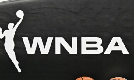 ‘Is This a Joke?!’: Backlash Ensues After WNBA Announces Crackdown on ‘Racist’ Fans