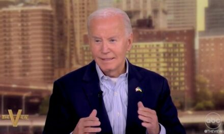 Biden tells ‘The View’ he was ‘confident’ he could have beaten Trump: ‘He’s a loser’