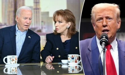 Biden says Trump has no ‘redeeming value,’ pretends to squash him like a bug amid Iranian assassination threat