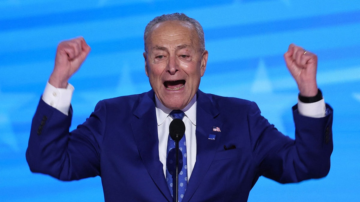 Chuck Schumer closeup shot from 2024 DNC