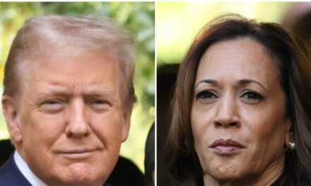 Chuck Todd: Harris Has ‘a Lot of Vagueness’ on Economy Because She Wants to Focus on Trump