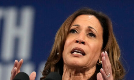 Harris Dodges on Difference Between ‘Price Gouging’ Plan, Price Controls