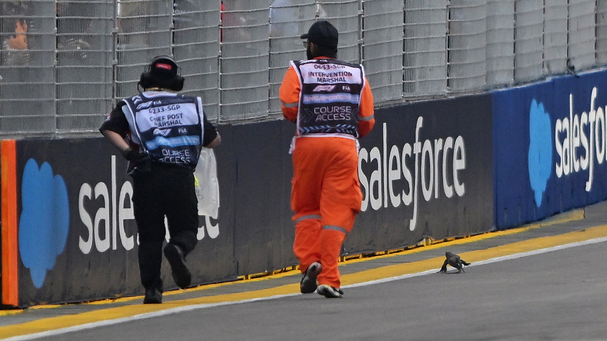 Track marshals chase Lizard