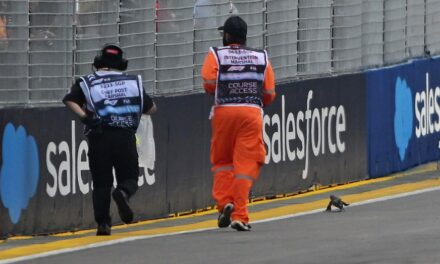 Formula 1 practice race suspended after large lizard invades the track ahead of Singapore Grand Prix