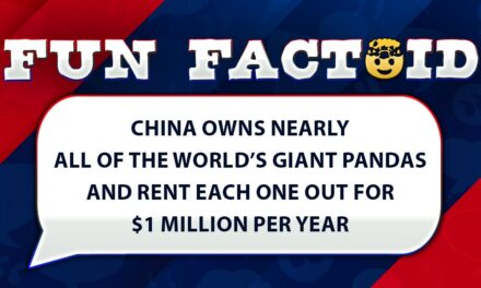 Fun Facts: Enjoy seeing pandas? Zoo rent them from China for $1M per year