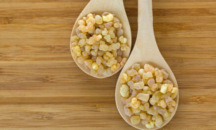 Reviving the ancient healing wisdom of frankincense (Boswellia)