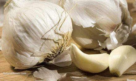 Garlic: Roto-rooter for the arteries?