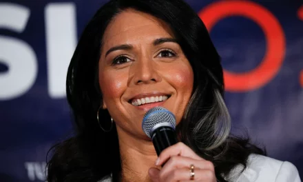 Gabbard Defends Trump Campaign Over Arlington National Cemetery Altercation 