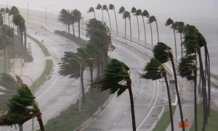 Florida: ‘Helene’ Storm Reaches Hurricane Level, Threatening Panhandle 