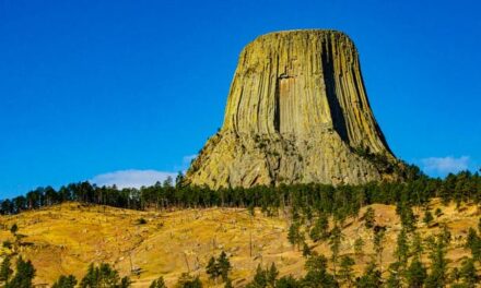 Climber Falls To His Death At Devils Tower Leaving Partner Stranded In A Horrifying Situation