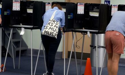 Data expert: Foreign adversaries can use unprotected voter data to disrupt Illinois elections