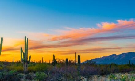 Arizona could bar thousands from voting in state elections for missing key citizenship papers