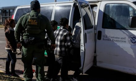 Illegal immigrant bites Border Patrol agent in the face amid ‘significant rise’ of attacks on CBP