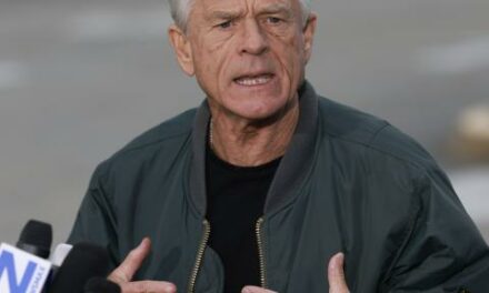 Ex-Trump adviser Peter Navarro says he is on a crusade against Harris, highlights Trump successes